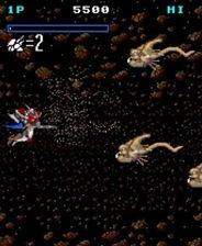 五一吃瓜网最新官方入口,揭秘五一假期热门瓜料，独家爆料一网打尽！